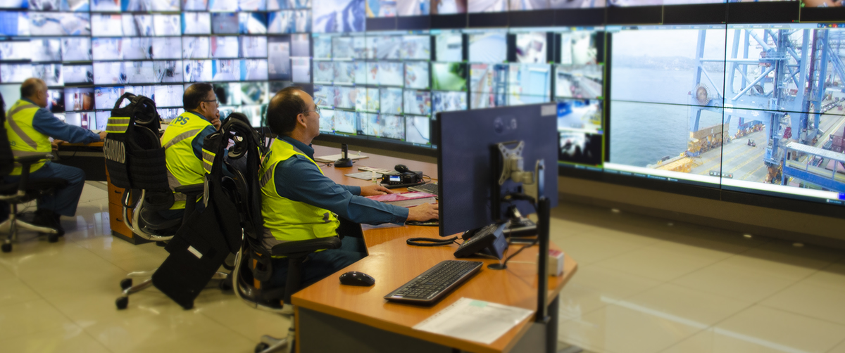 SEGURIDAD