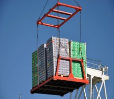 TPS movilizará más de 800.000 toneladas de fruta en la temporada 2015-2016 TPS movilizará más de 800.000 toneladas de fruta en la temporada 2015-2016