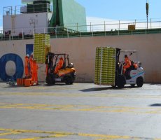 Comenzó la temporada de la fruta en TPS Comenzó la temporada de la fruta en TPS
