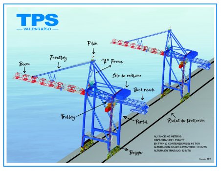 Avanza el armado de nuevas grúas en TPS: estarán operativas en septiembre