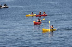 Escolares de Valparaíso finalizan escuelas de vela TPS y reciben licencia de patrón de bahía. Escolares de Valparaíso finalizan escuelas de vela TPS y reciben licencia de patrón de bahía.