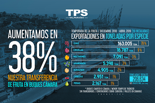 TPS aumenta en 38% transferencia de fruta en buques cámara en temporada 2018-2019