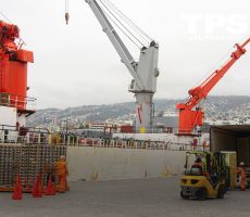 TPS cierra temporada alta de fruta con 12% de aumento en carga paletizada