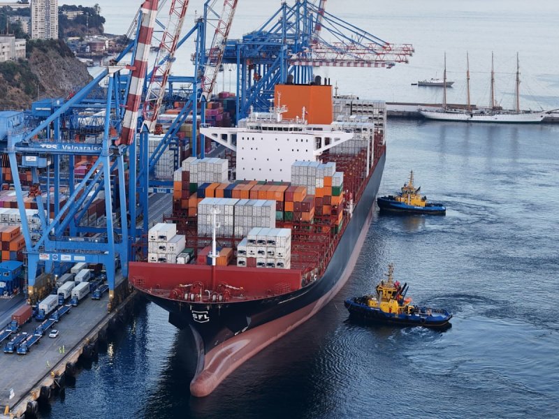 Cereza y uva lideraron transferencia de fruta a través de TPS en la temporada 2024-2025